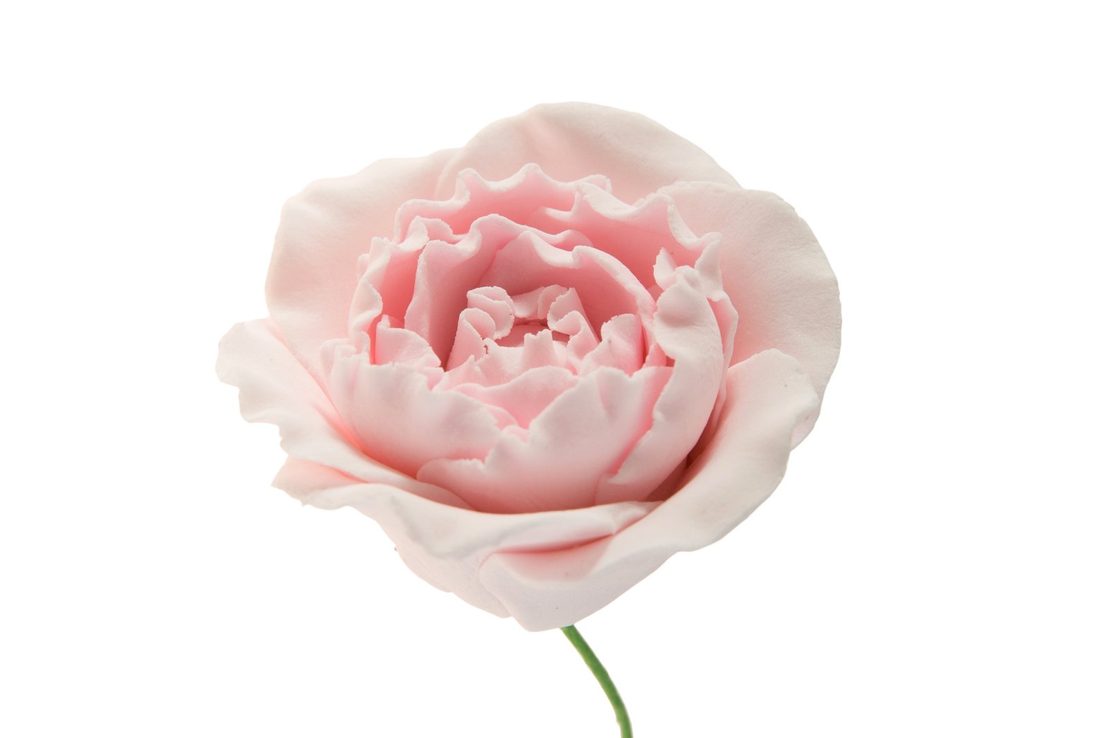 Runculi Roses Philippine Gum Paste Inc